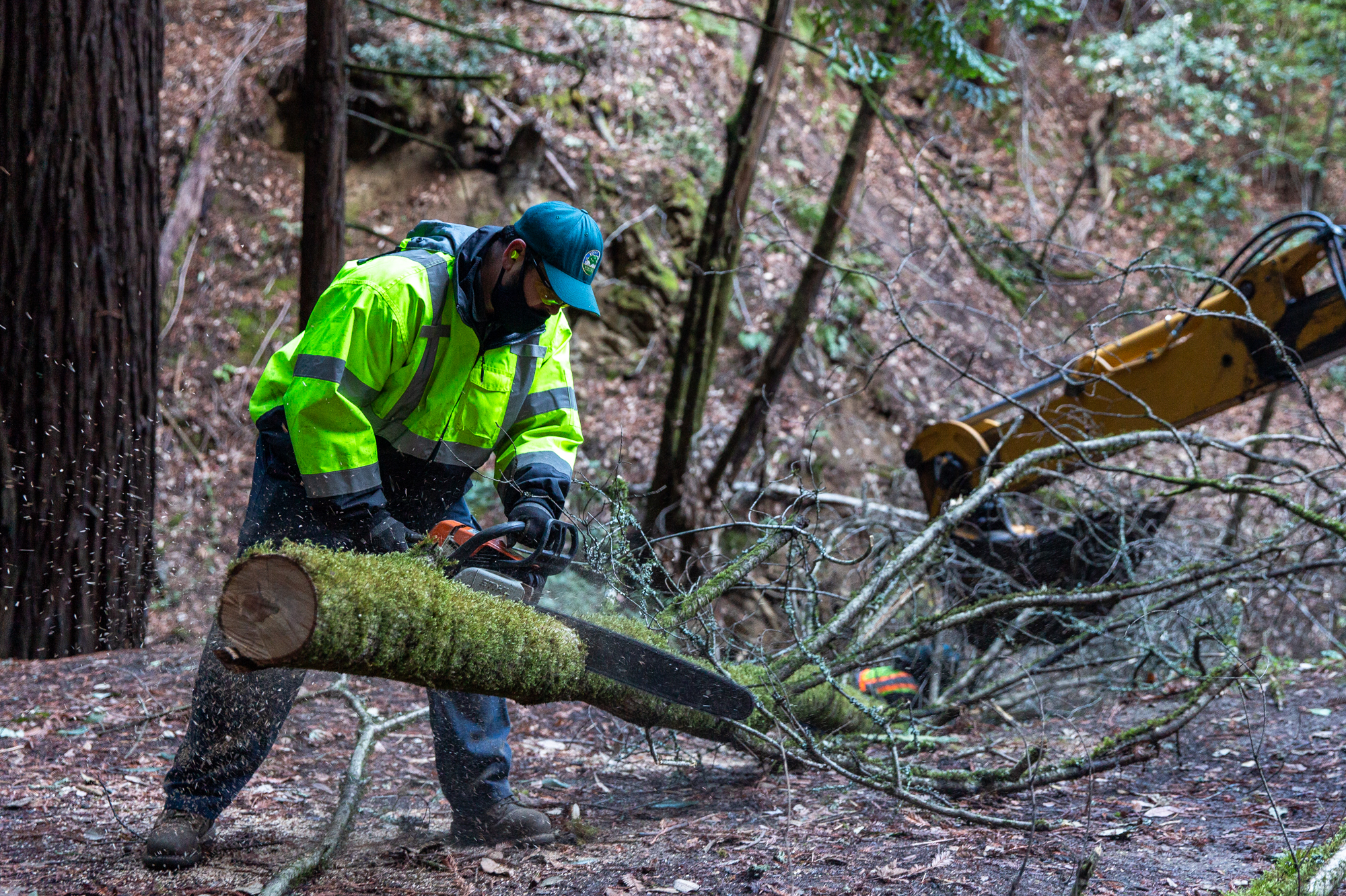 Strong winds take down multiple power lines and trees in Menlo Park ...