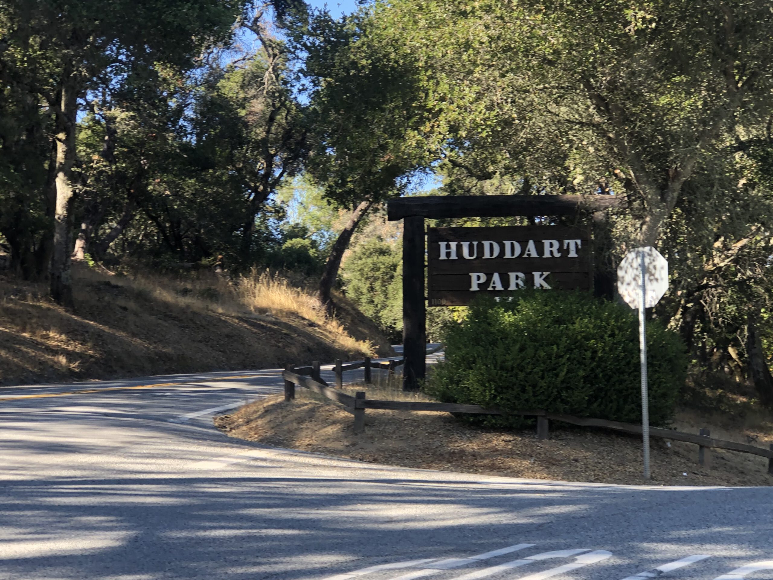 Community briefs: Styrofoam recycling, park volunteering and short story contest