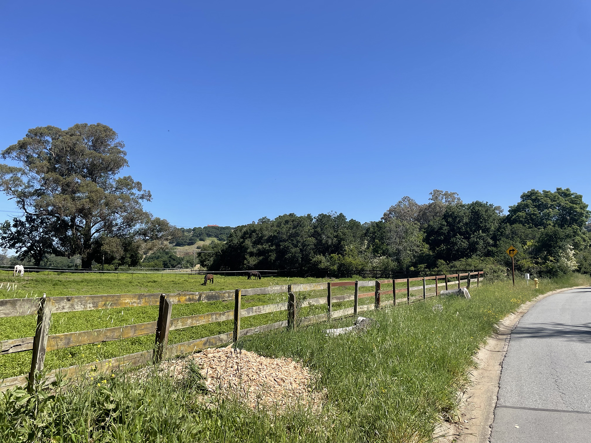 Woodsiders object to rezoning land for multi-family housing - The Almanac