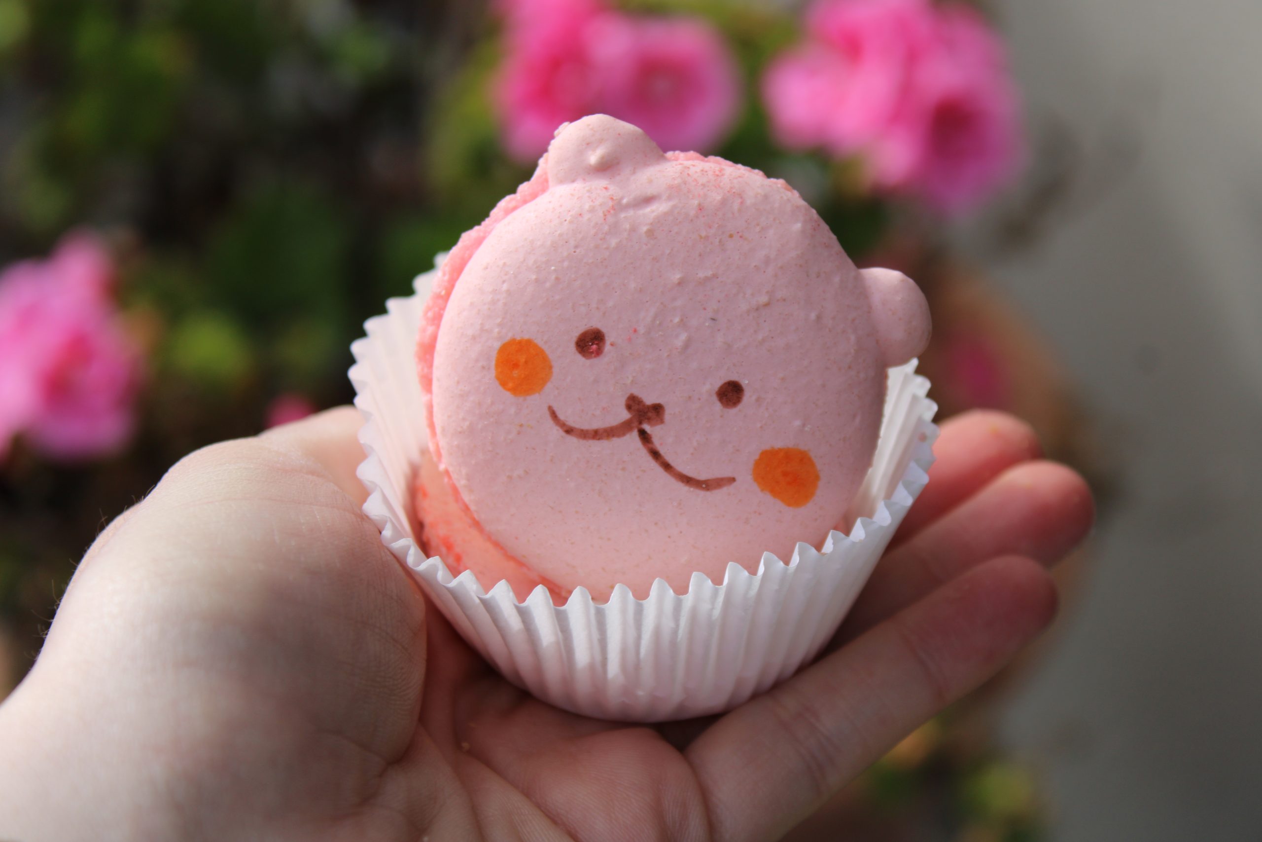 Oh Honey Macaron in Mountain View offers handmade macarons with an