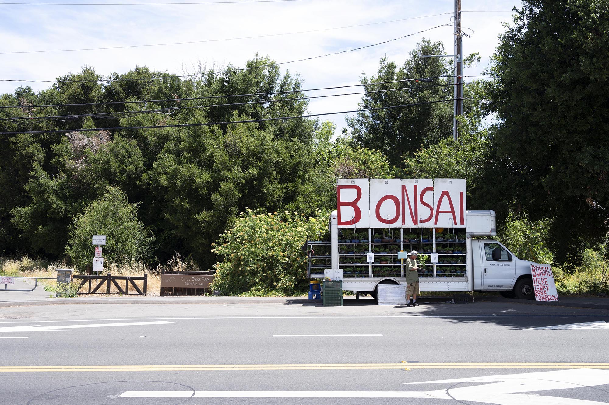 Spot the traveling bonsai truck across the Bay Area - The Almanac