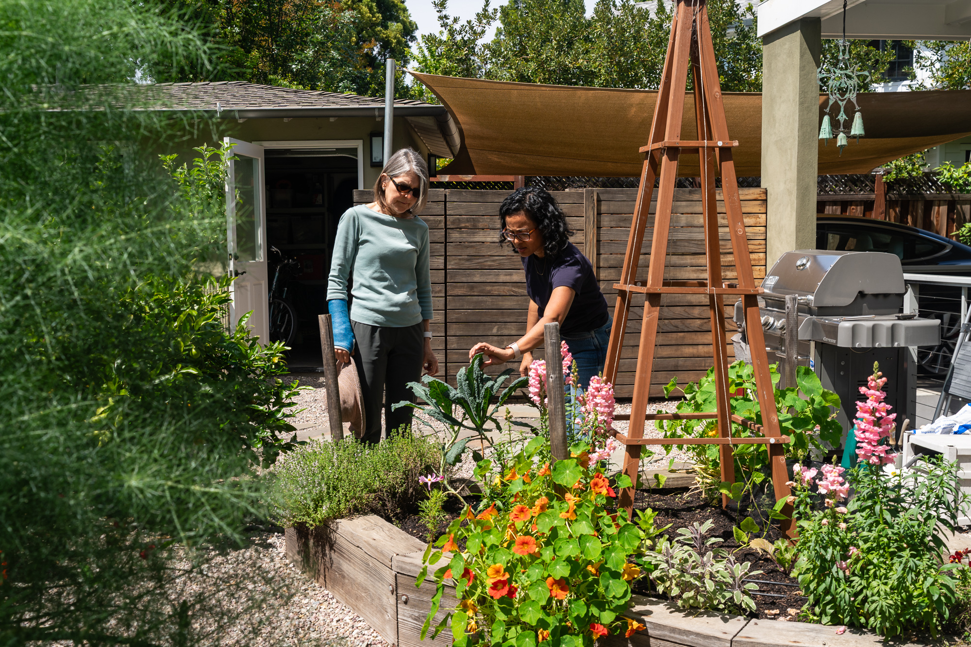 Image for Meet the Peninsula’s new ‘vegetable garden coach’